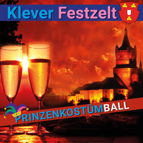 prinzkostümball